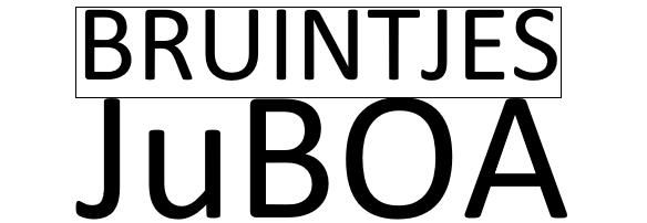 Schermafbeelding 2025-08-26 110946